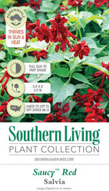 Saucy Red Salvia Tag Front