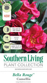 Bella Rouge Camellia Tag Front