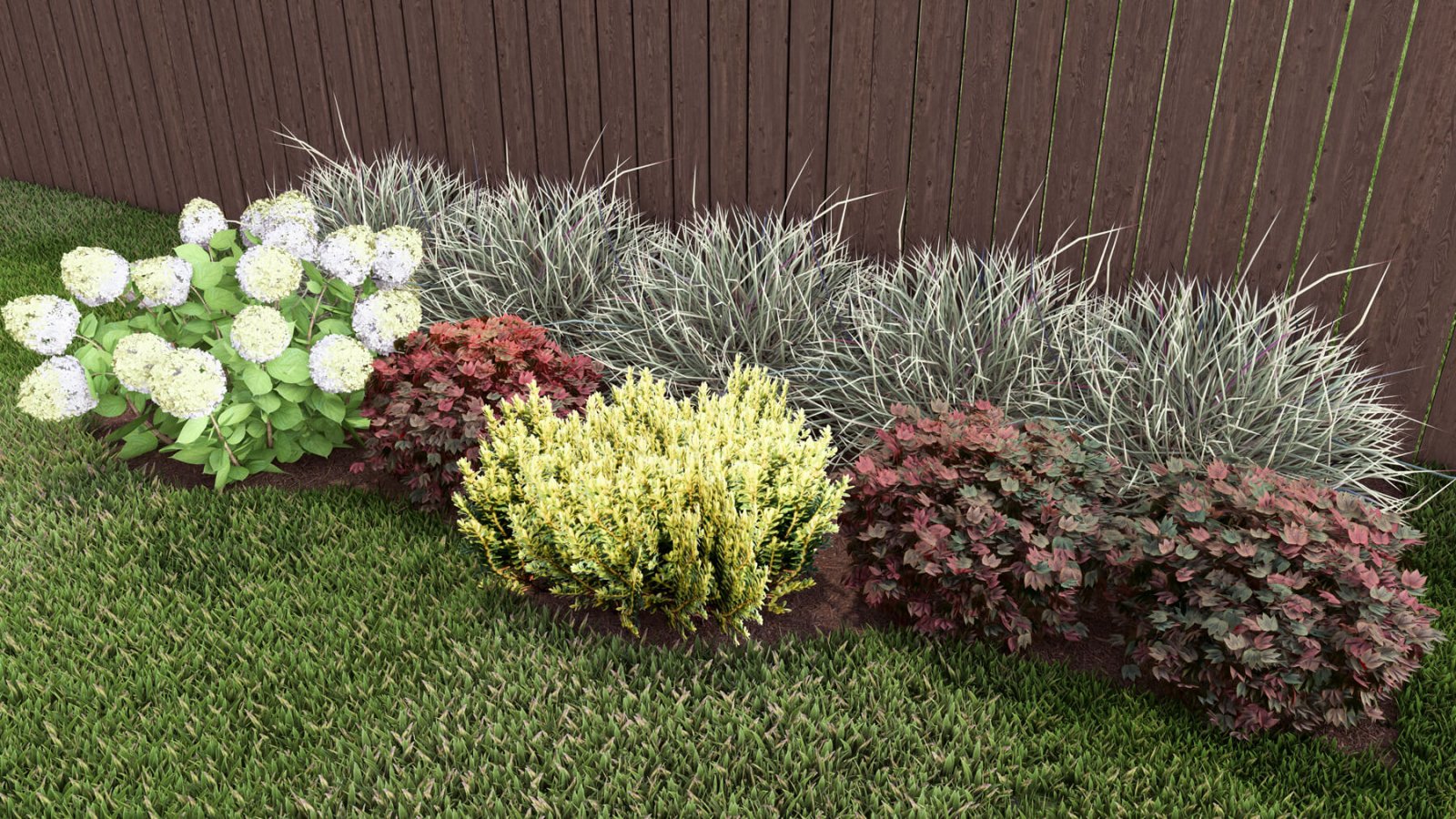Pre-planned Colorful Border Garden Design – Plants by Mail