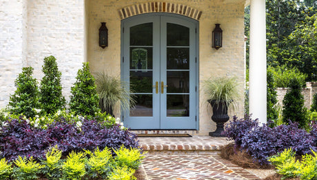 Front yard entry way landscape garden Featuring Oakland Holly, Red Diamond Loropetalum, Platinum Beauty Lomandra, and Lemon Lime Nandina
