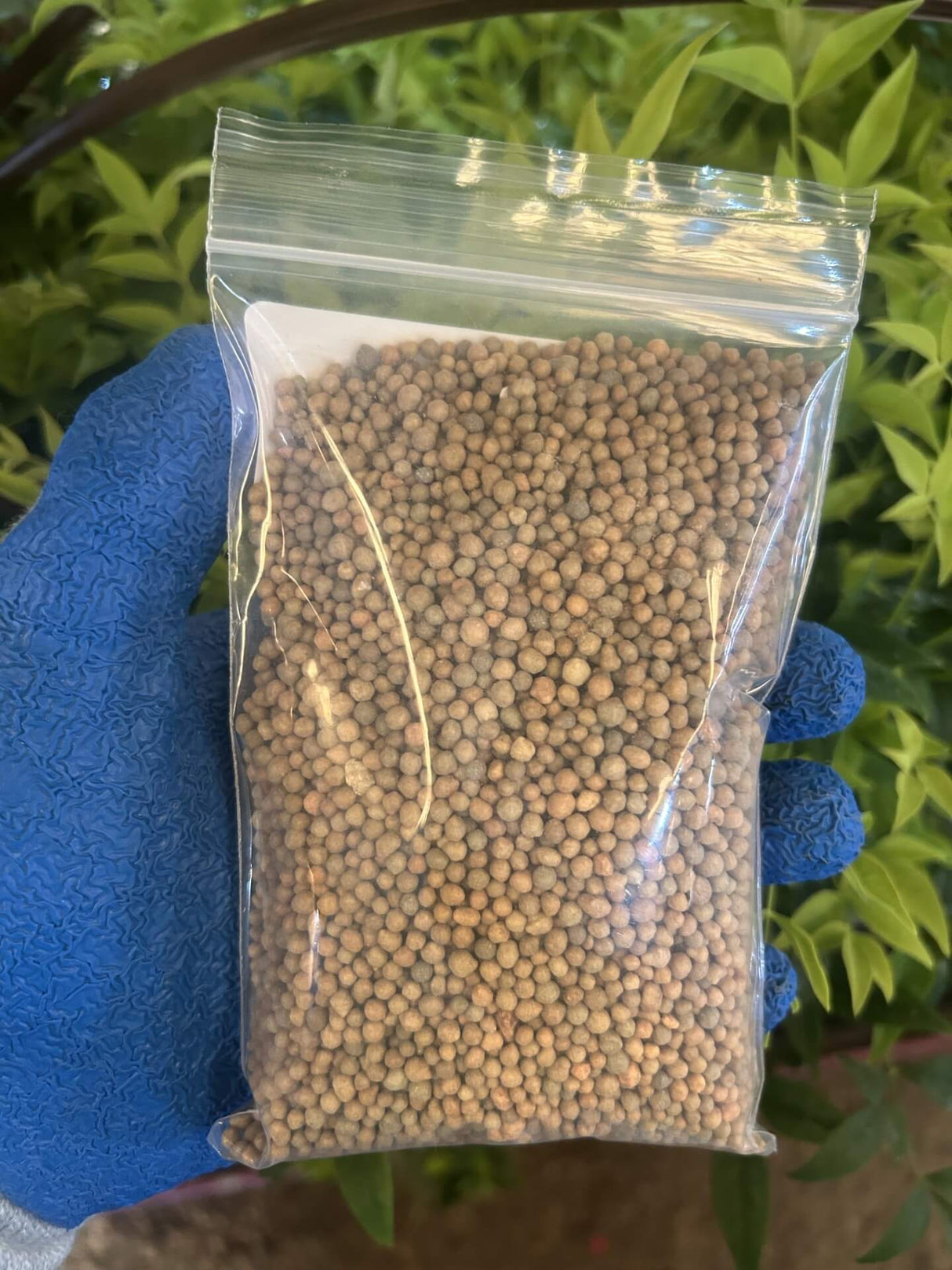 Slow Release Granular Fertilizer (15-9-12) – 0.5 lb