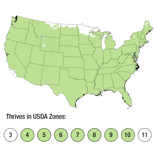 Map of USDA Zones 4-10