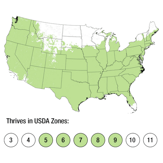 Map of USDA Zones 5-9