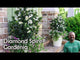 How to grow and care for Diamond Spire Gardenia with Jim Putnam from HortTube